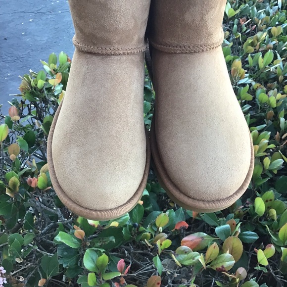 UGG BAILEY BUTTON II SHORT CHESTNUT New in Box - Picture 9 of 11